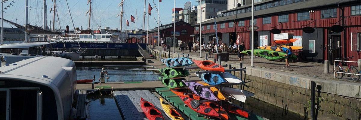 Husbaten Vega 1 Goeteborg City المظهر الخارجي الصورة